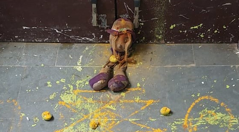 Dolls, turmeric and lemon were lying outside the science lab, the children got scared then...